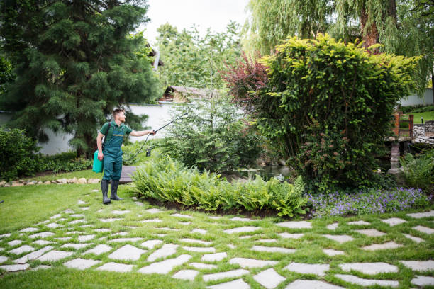 Best Affordable Pest Control Services  in Belmont, VA